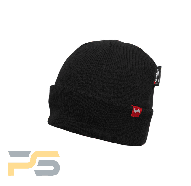 Thinsulate Lined Beanie Hat